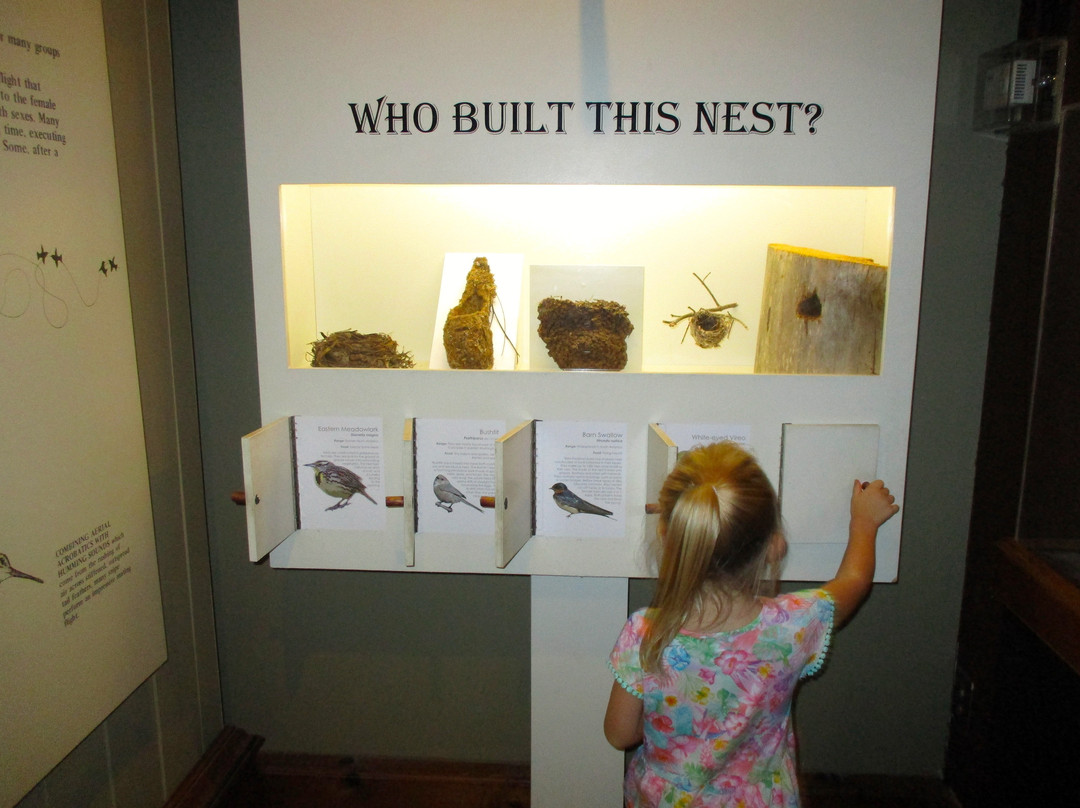 Anniston Museum of Natural History景点图片