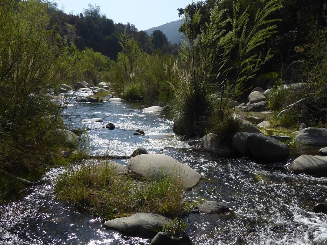 Clarillo River National Reserve-Pirque必去景点