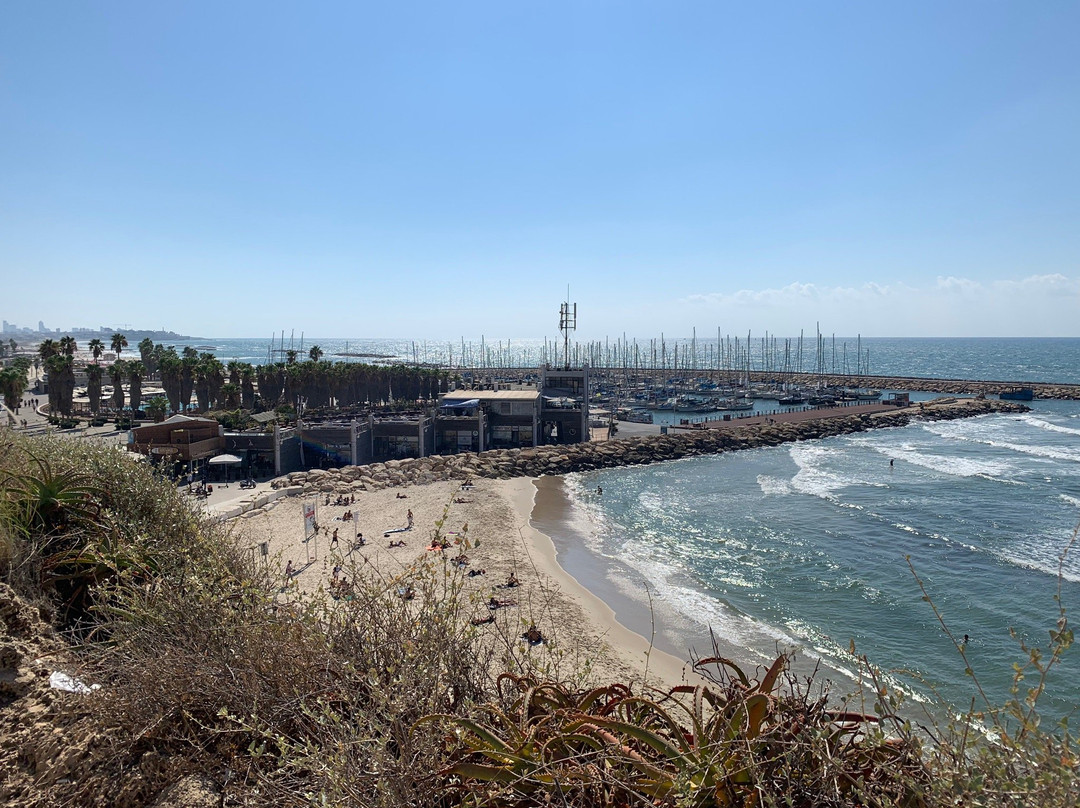 Independence Park-特拉维夫必去景点