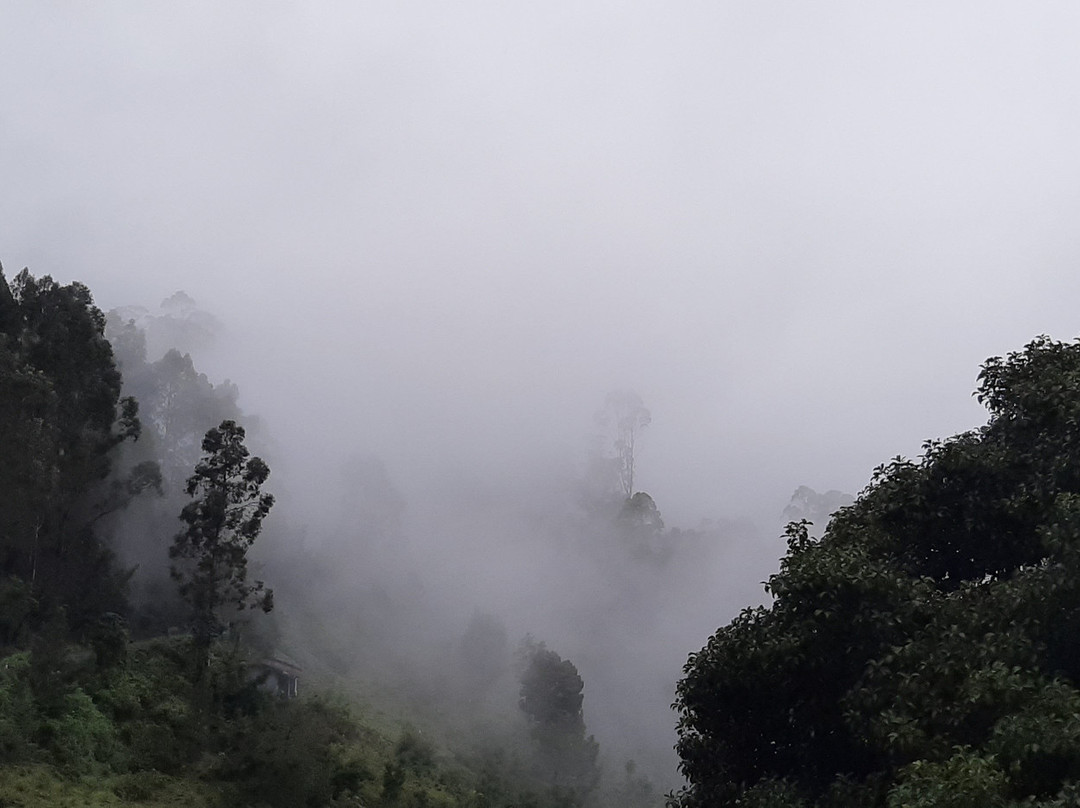 Kuzhanthai Velappar Temple景点图片