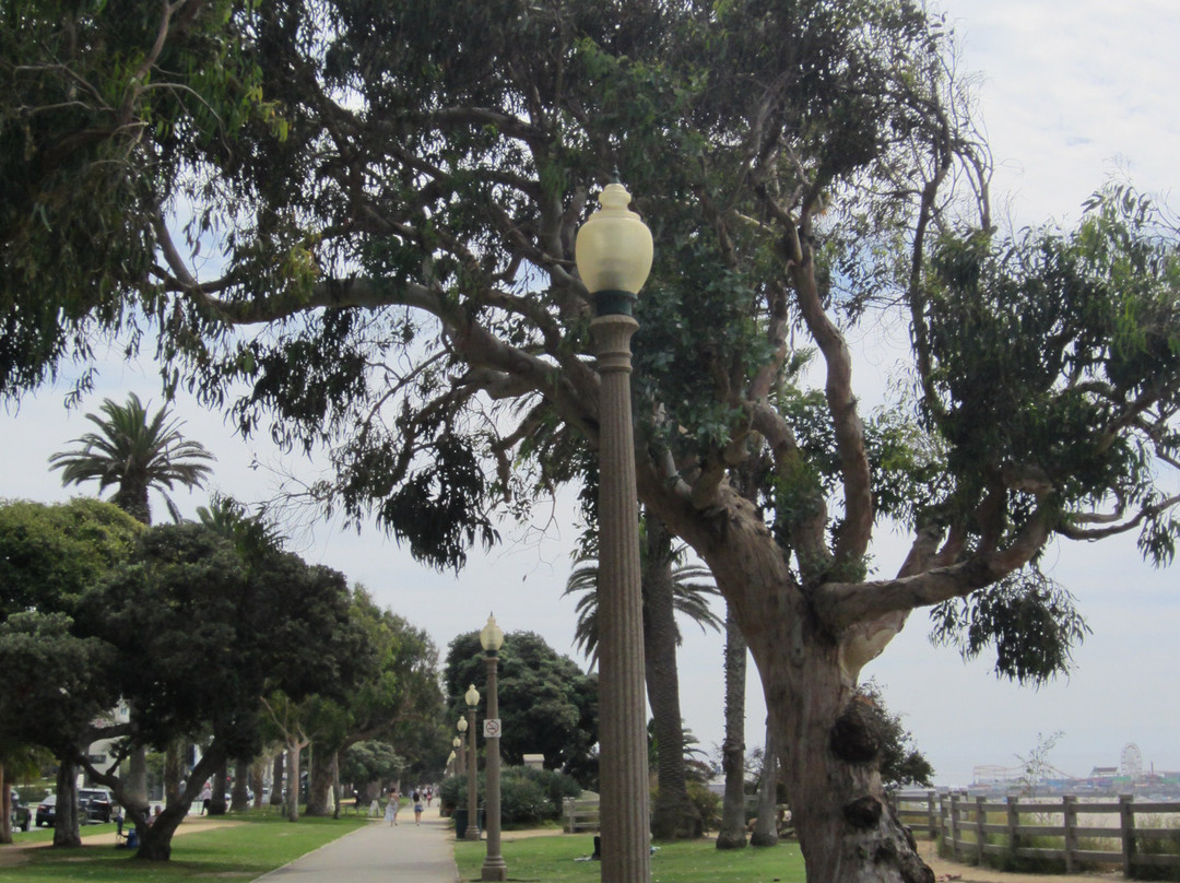 Ocean View Park-圣莫尼卡必去景点