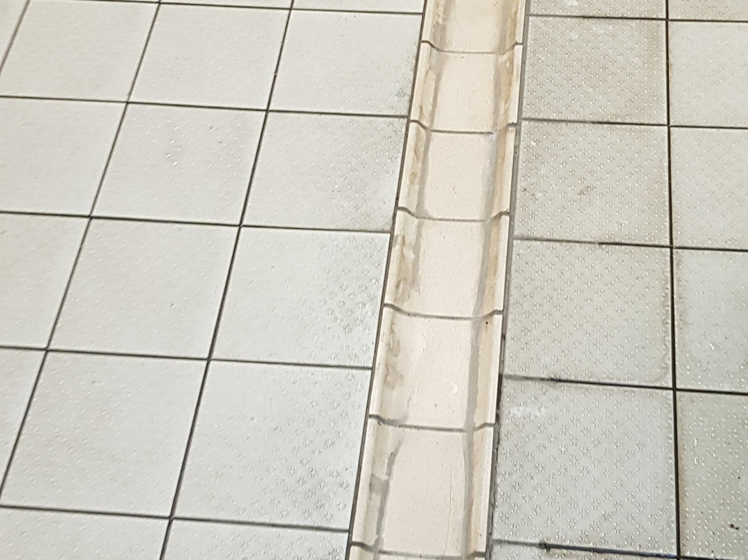 EA White Oak Leisure Centre景点图片