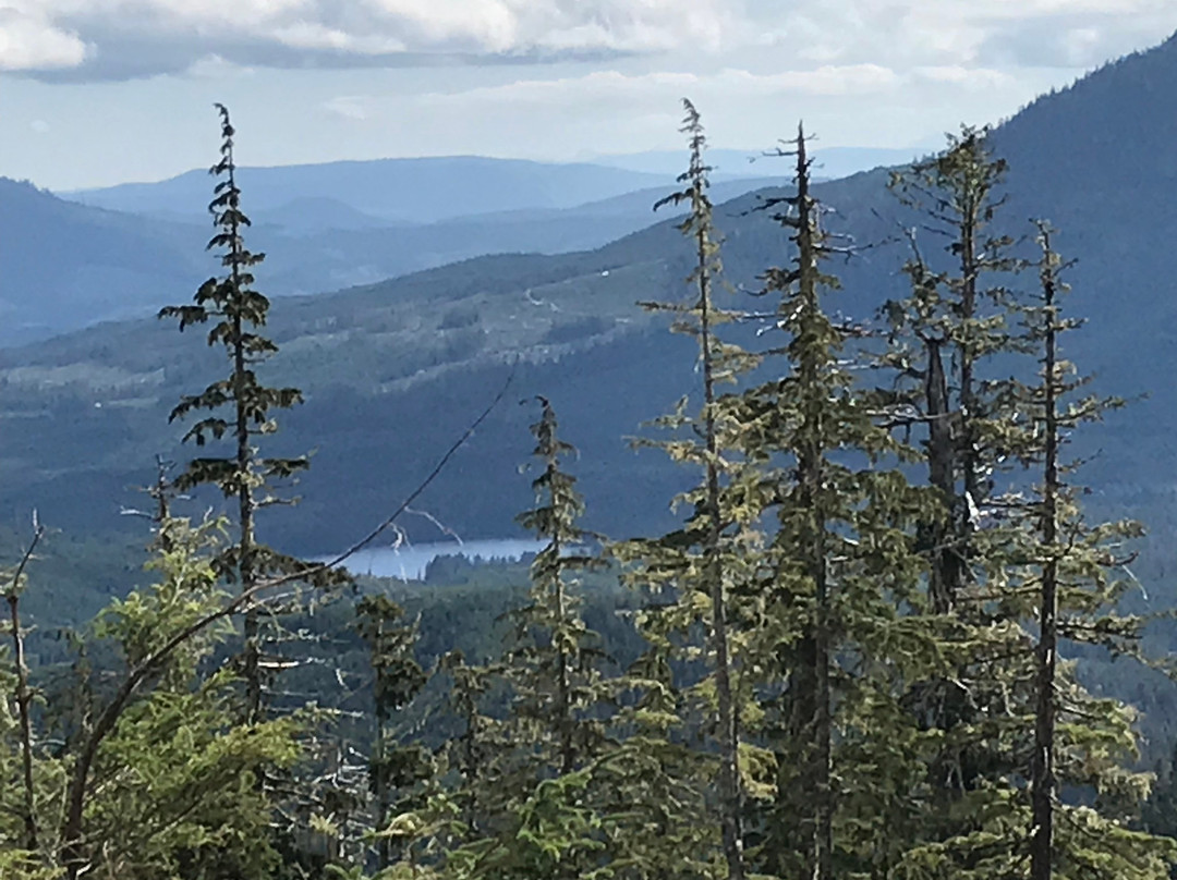 Serenity Now! Bed and Breakfast主图