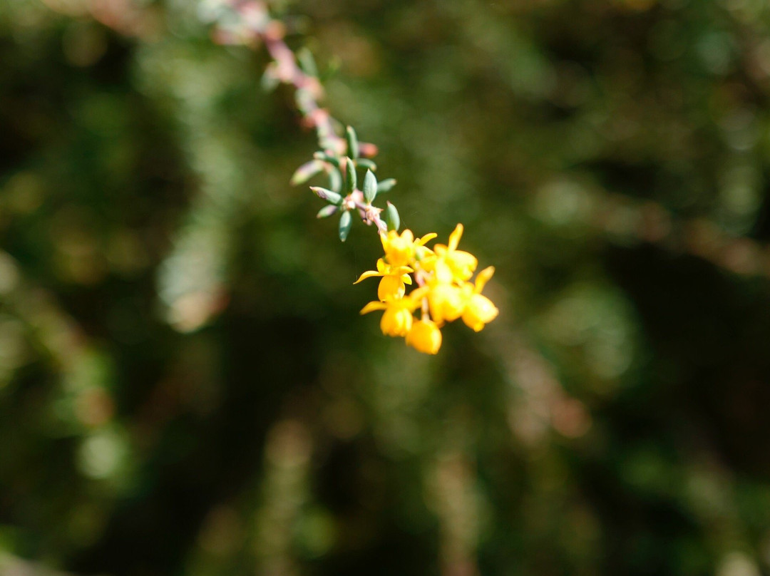 Arboretum Poortbulten-De Lutte必去景点