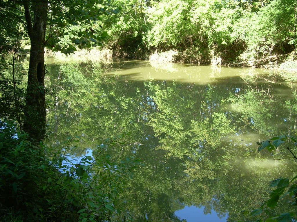 Beckley Creek Park景点图片