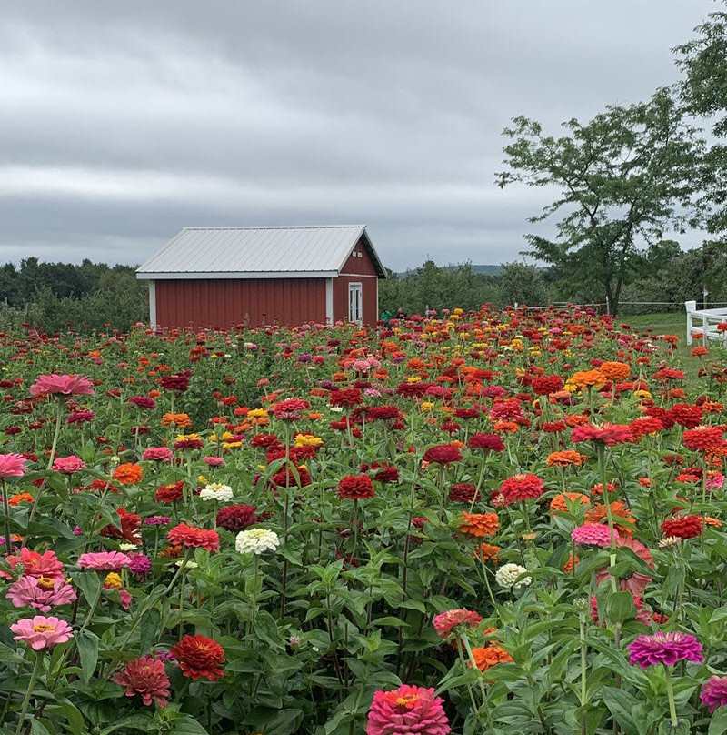 Reisinger's Apple Country-沃特金斯格伦必去景点