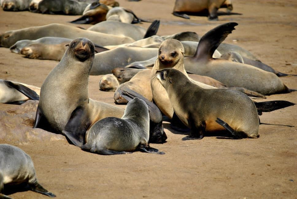 Don Tours & Safaris-温德和克必去景点