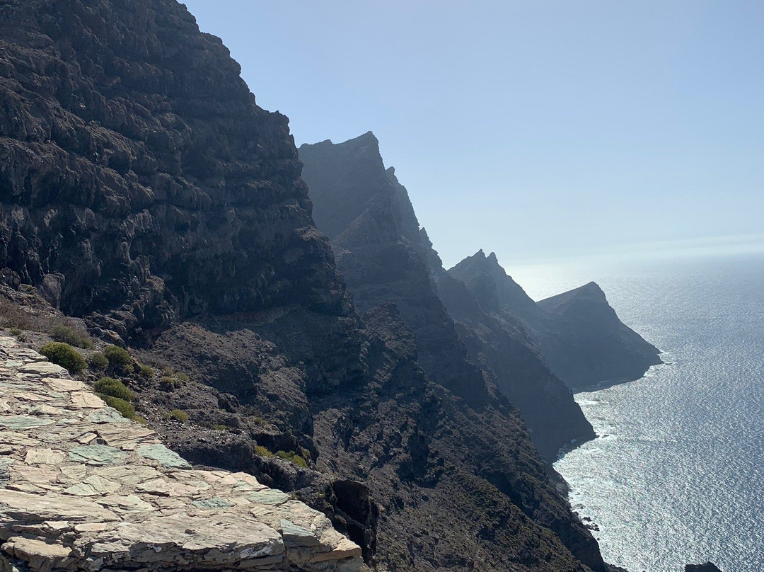 Pinar de Tamadaba景点图片