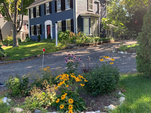 Elms Of Camden主图