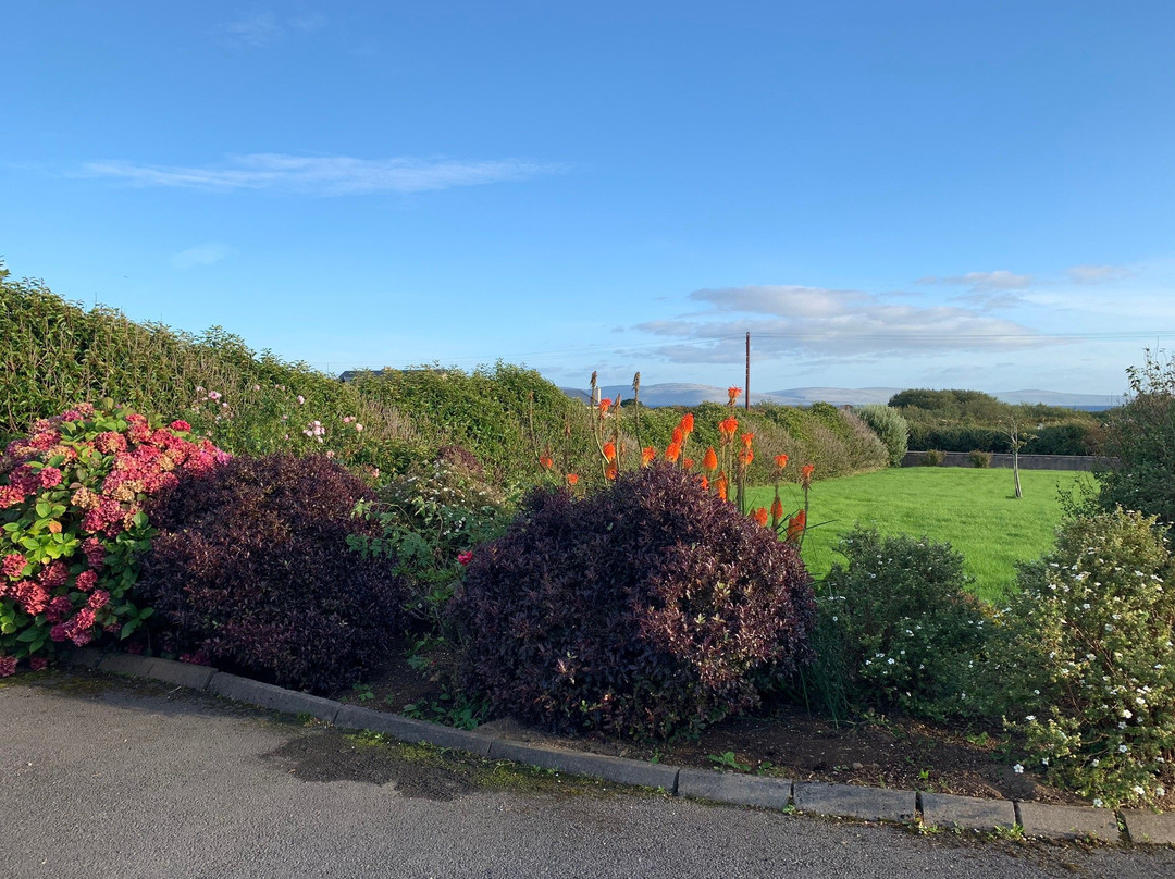 Aran View - Radharc Arainn B&B主图