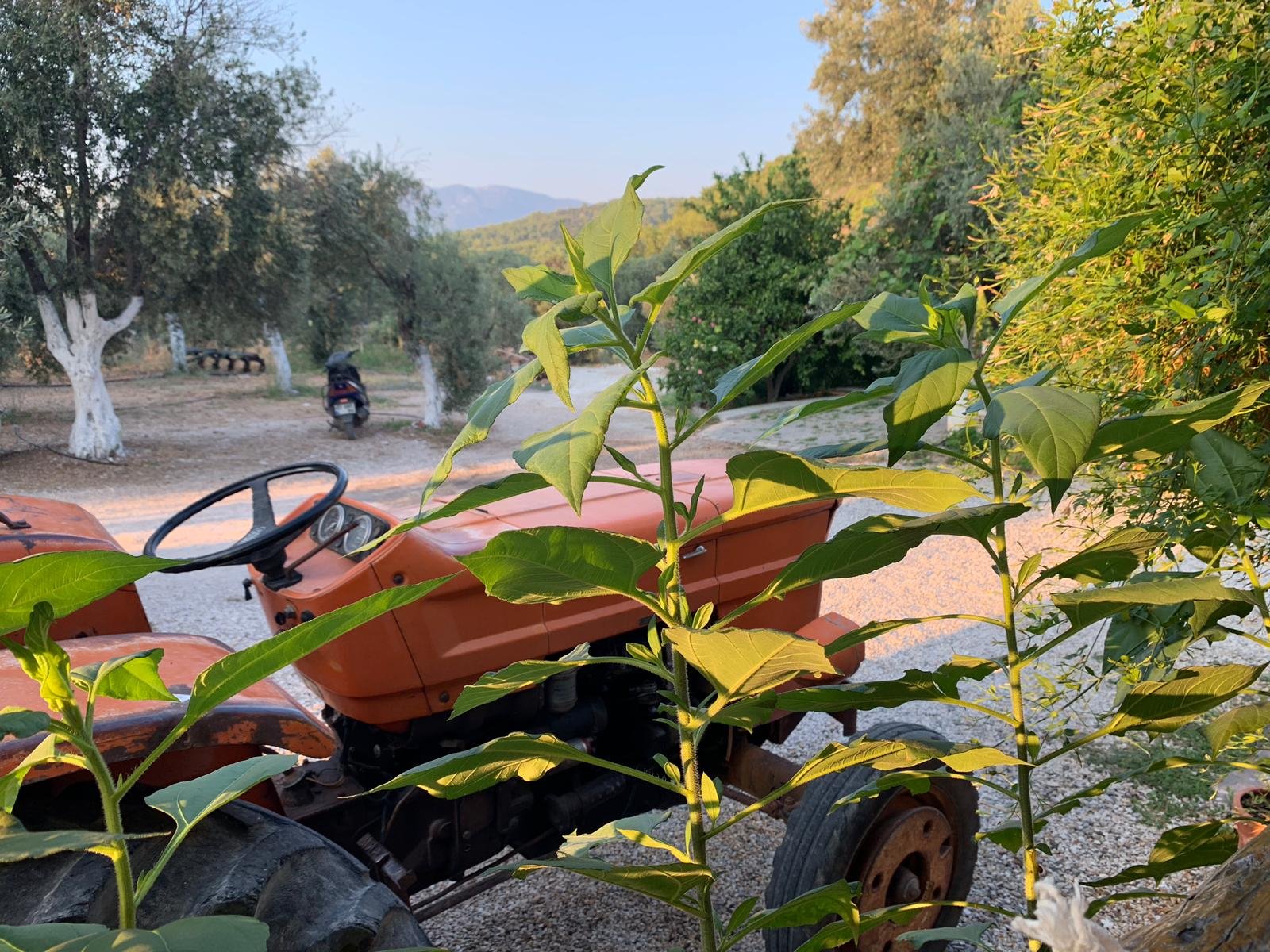 Patara Viewpoint Hotel-浴室