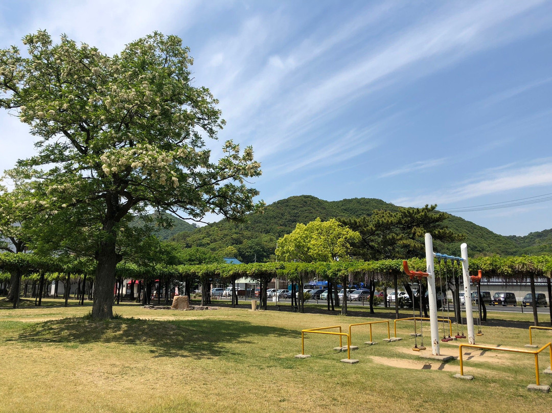 Shibukawa Park Fujidana景点图片
