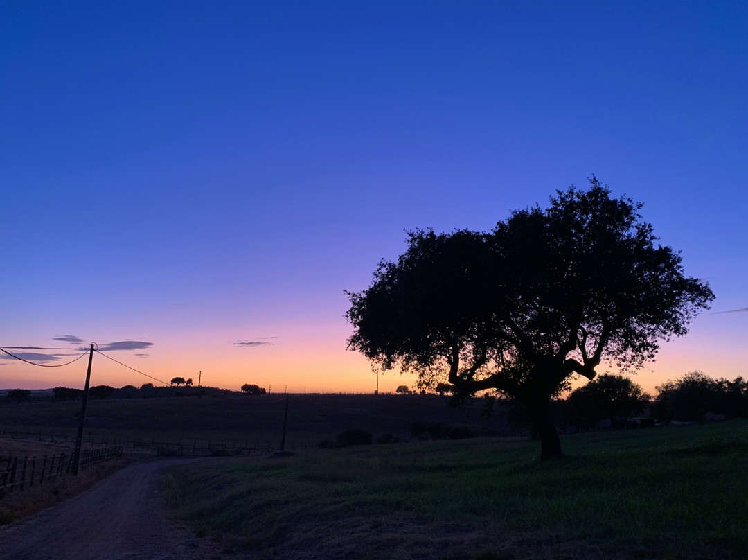 Herdade da Cortesia主图