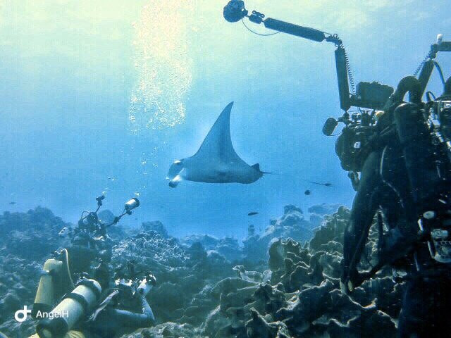 Beyond the Reef景点图片