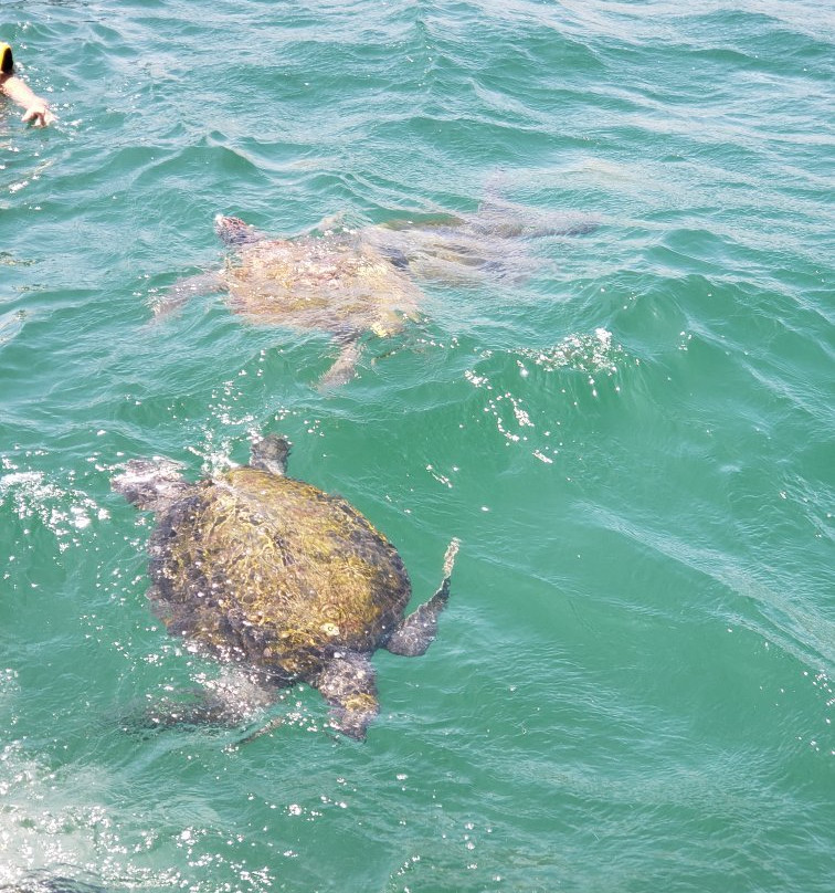 Nuro beach-Organos必去景点