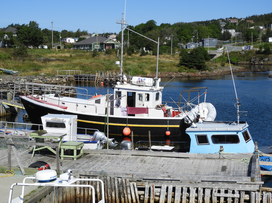 Bay Bulls (Bull Head)-Bay Bulls必去景点