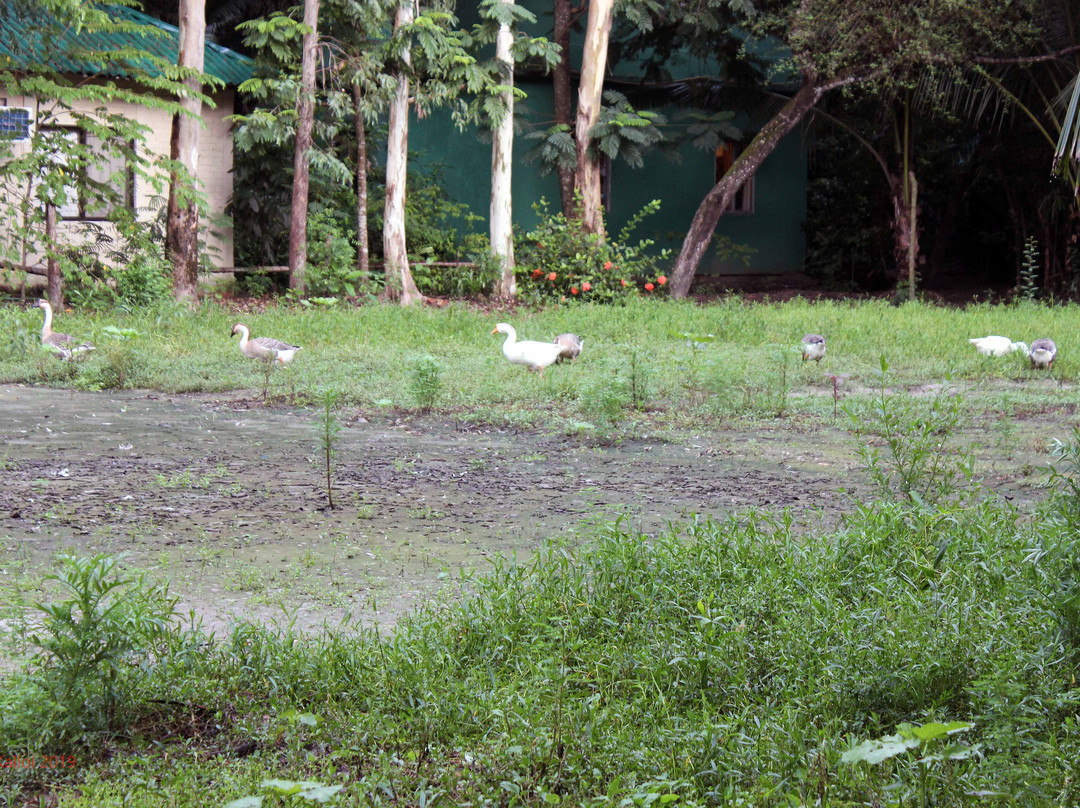 Sunderban Tiger Camp主图