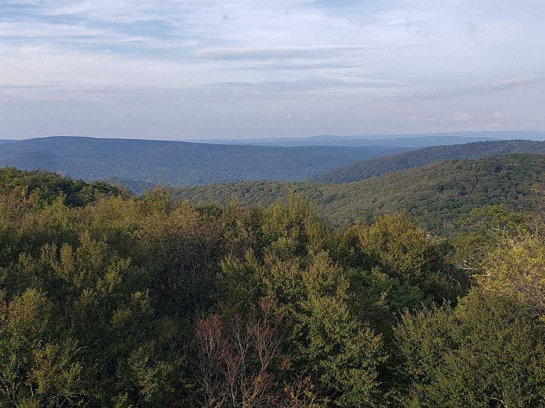 Monongahela National Forest-Elkins必去景点