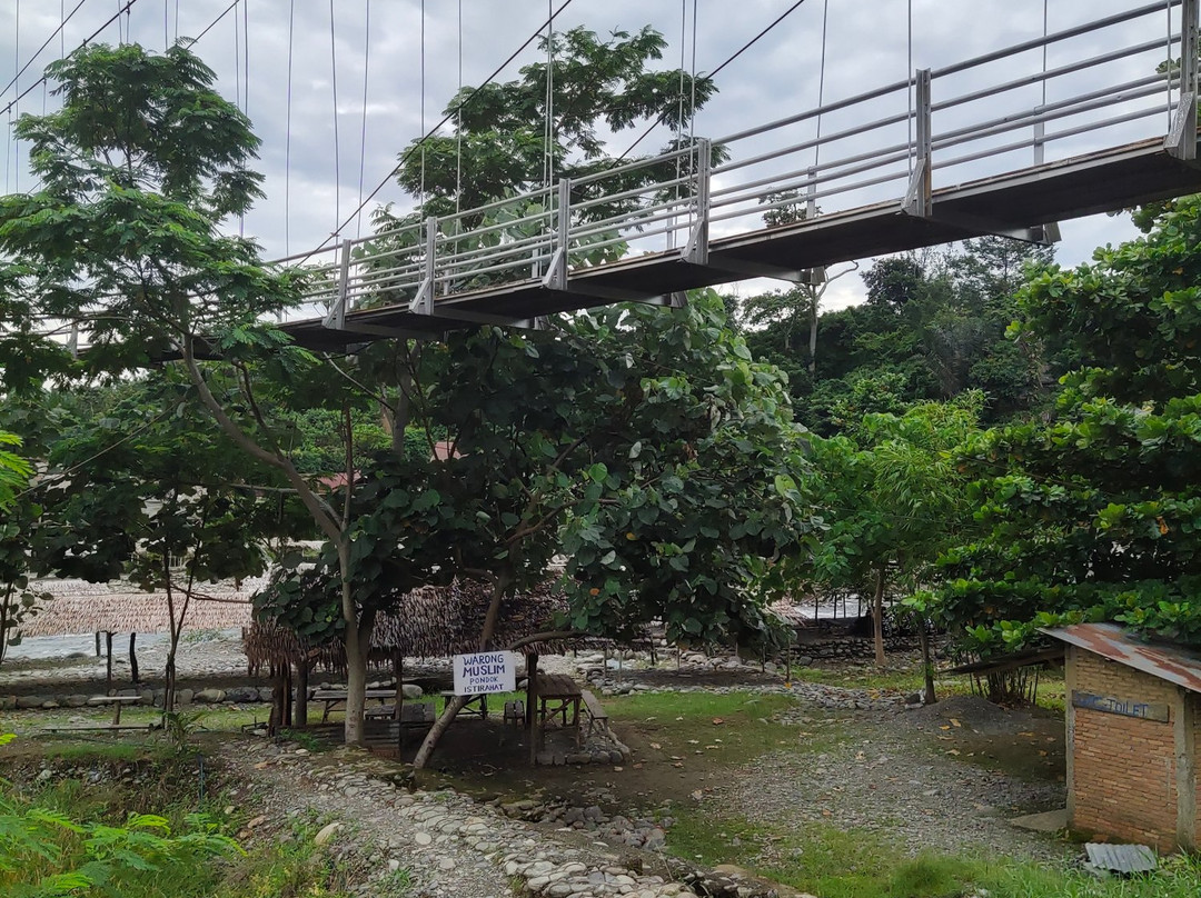 Bukit Lawang Jungle-武吉拉旺必去景点