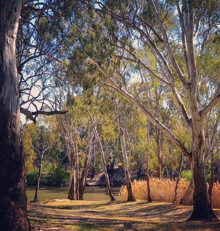 Willoughbys Beach-Deniliquin必去景点