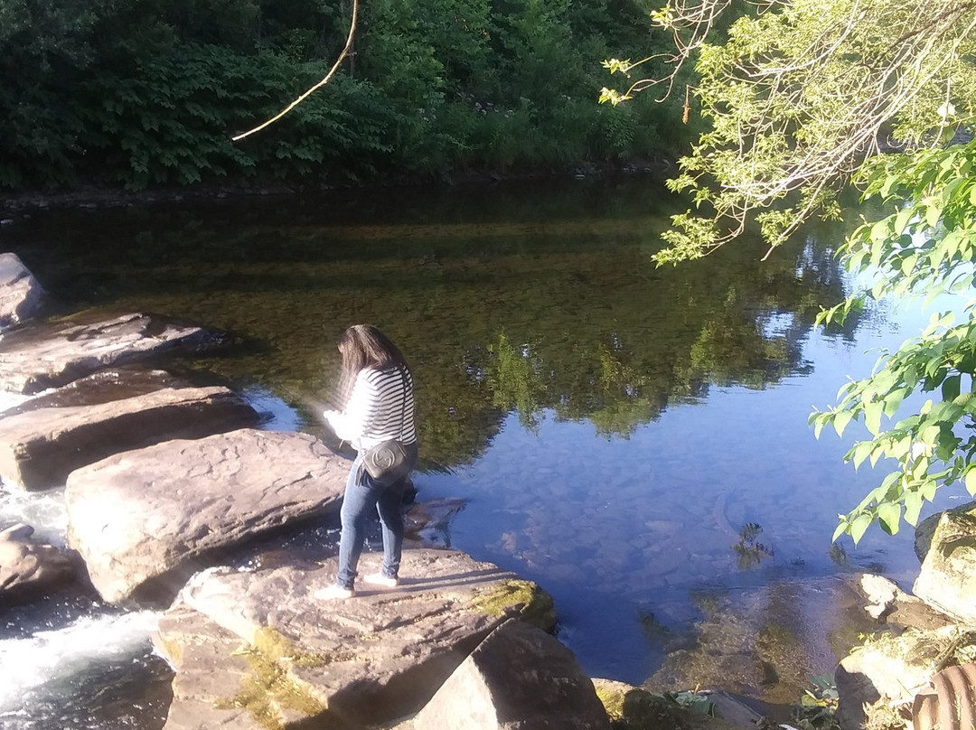 Sonoma Falls-Livingston Manor必去景点
