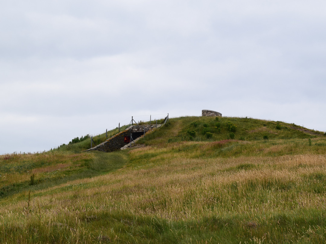 Barclodiad Y Gawres Chambered Tomb景点图片