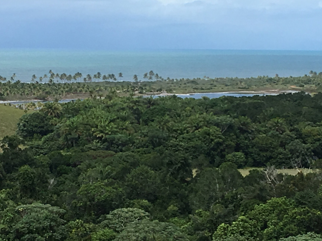 Farol De Taipu-Marau必去景点