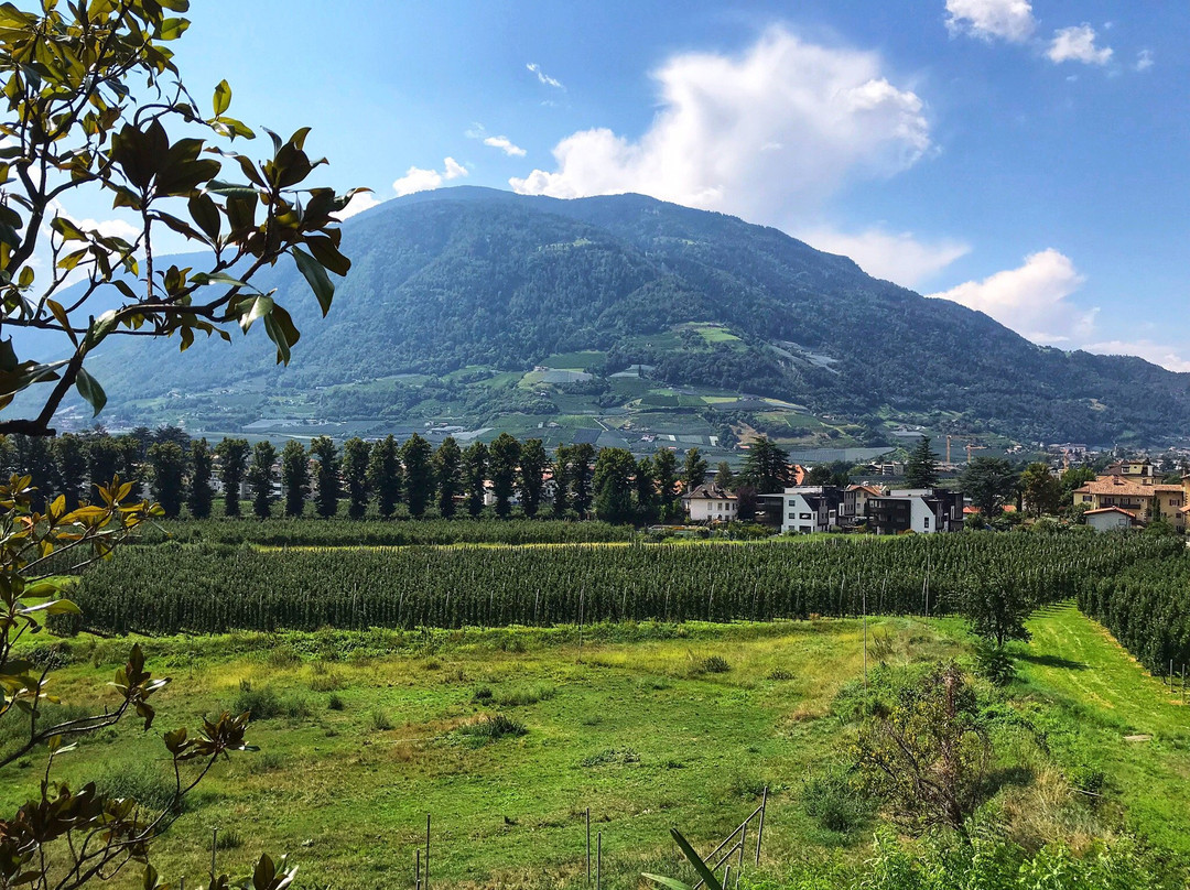 Hotel Villa Tivoli主图