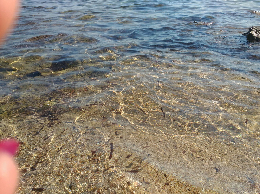 Spiaggia di Lido Silvana景点图片