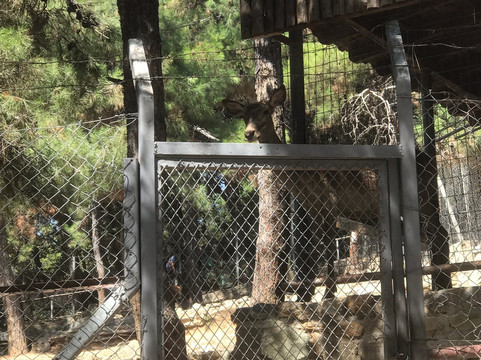 Thessaloniki Zoo-Agios Pavlos必去景点