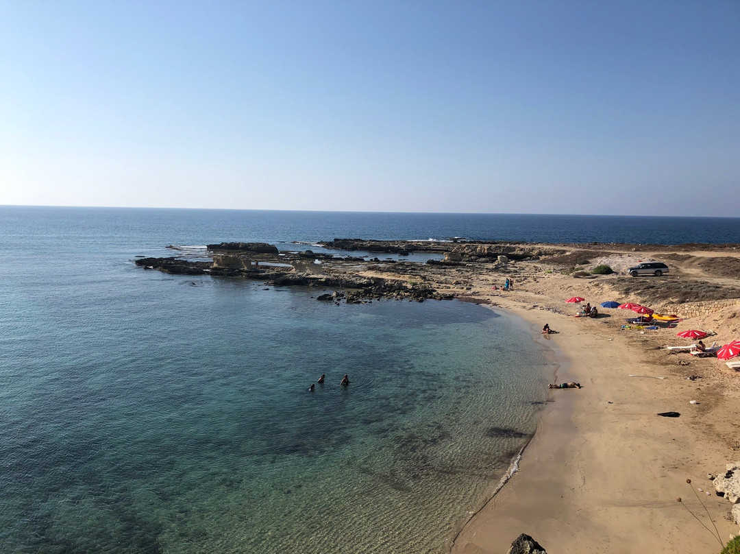 Oasis At Ayfilon主图