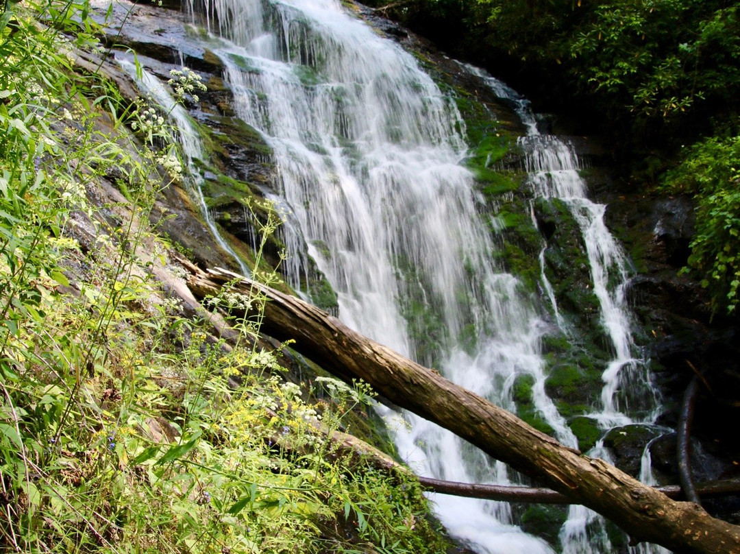 King Creek Falls景点图片