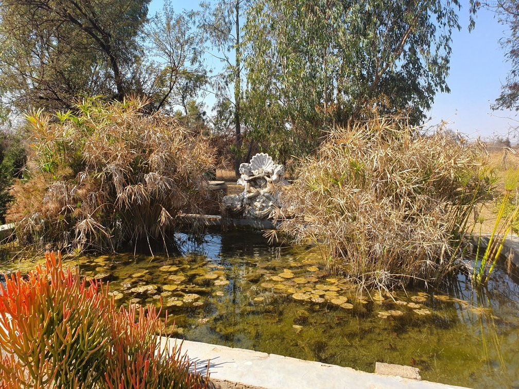 Yesterday's Dream主图