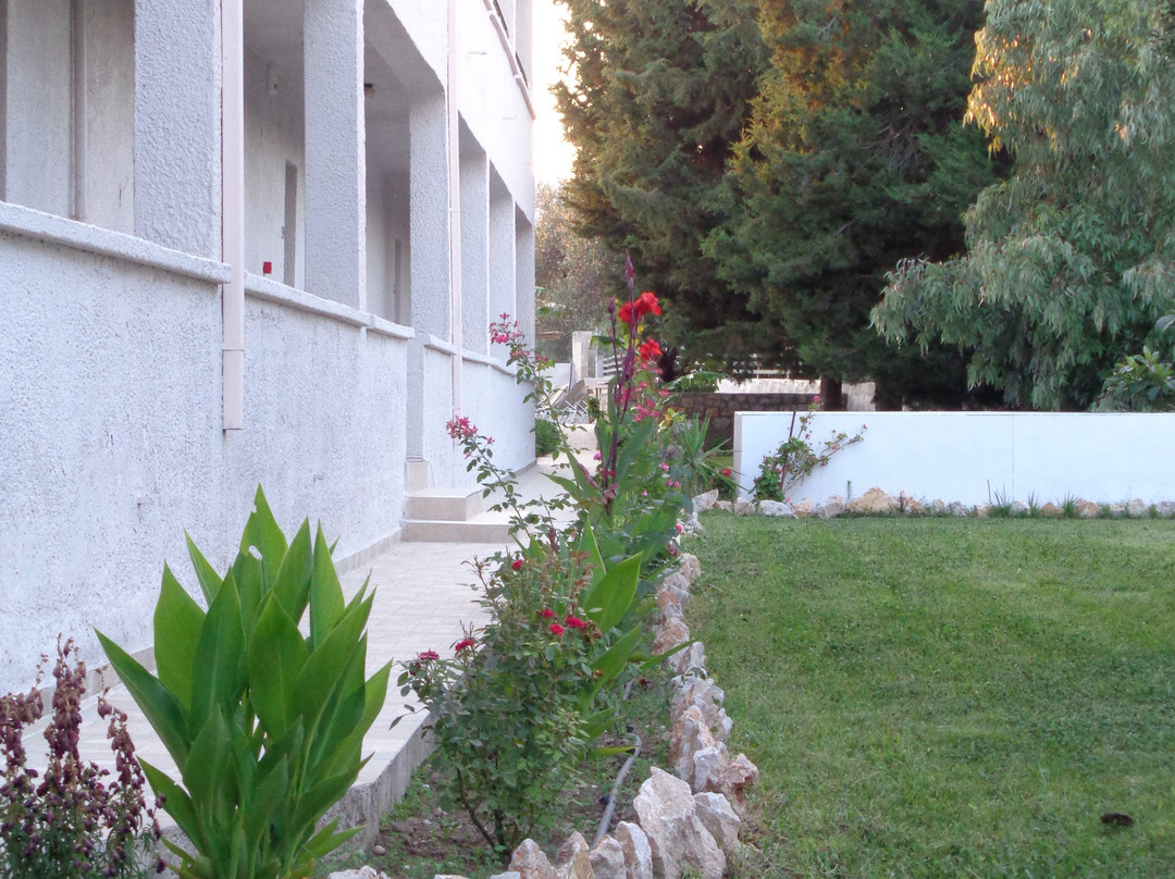 Saint George Resort主图