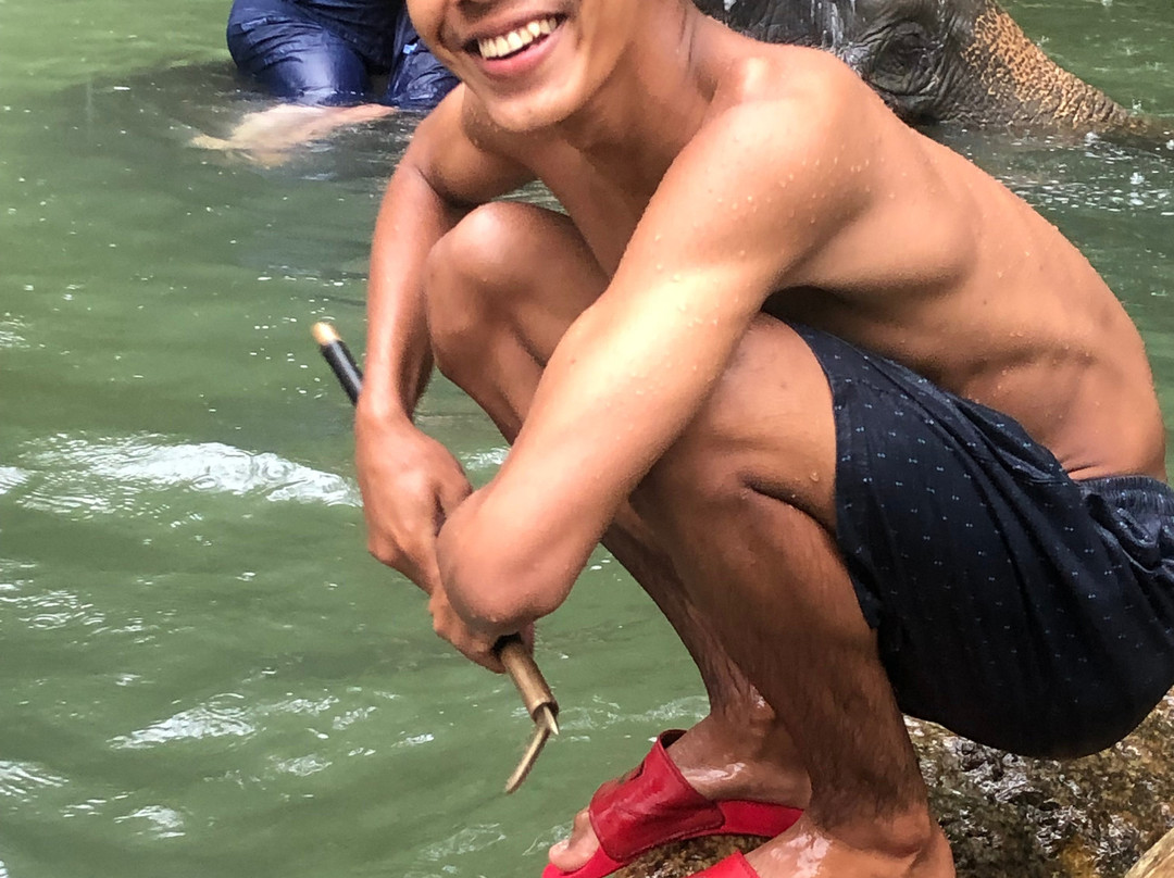 Phang Nga Elephant Park-攀牙必去景点