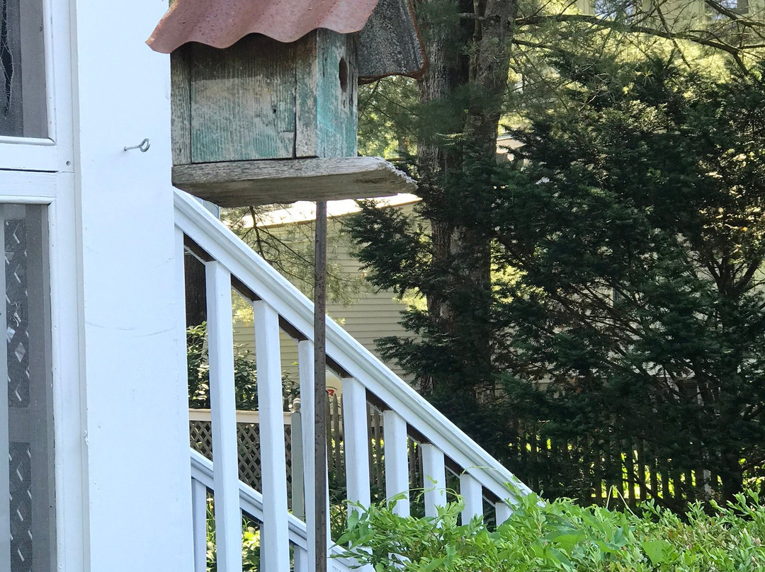 White Sails Inn主图