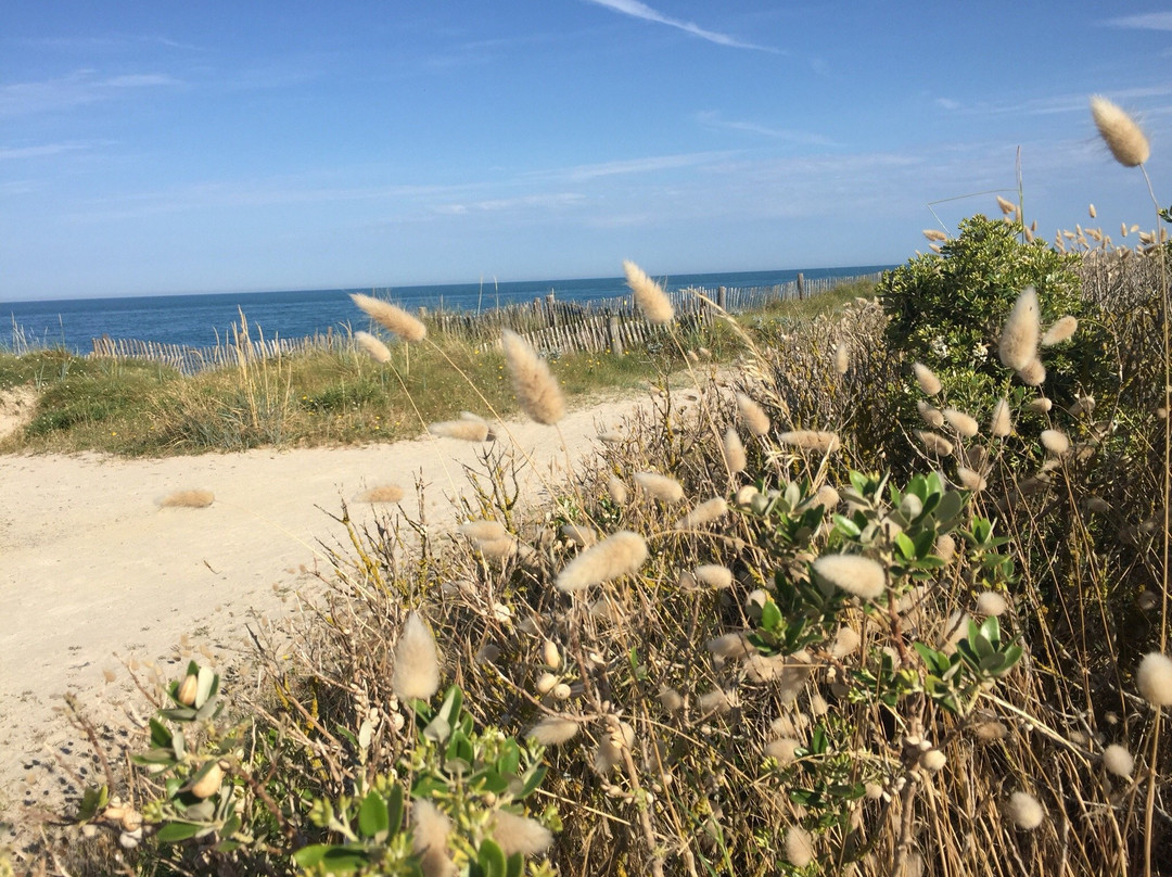 Plage Saint-Martin-de-Bréhal景点图片