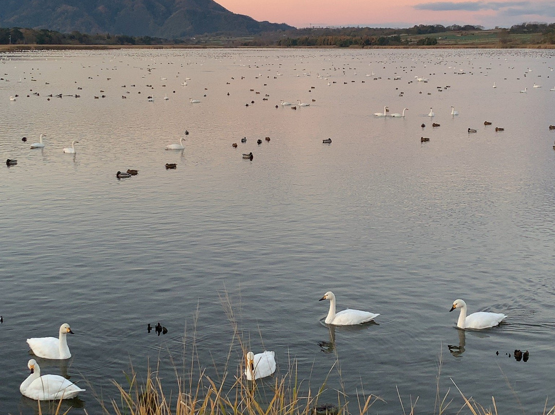 Sakata Park-新泻市必去景点