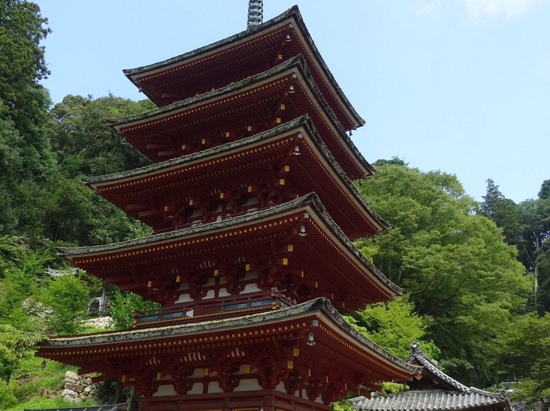 Hasedera Temple景点图片