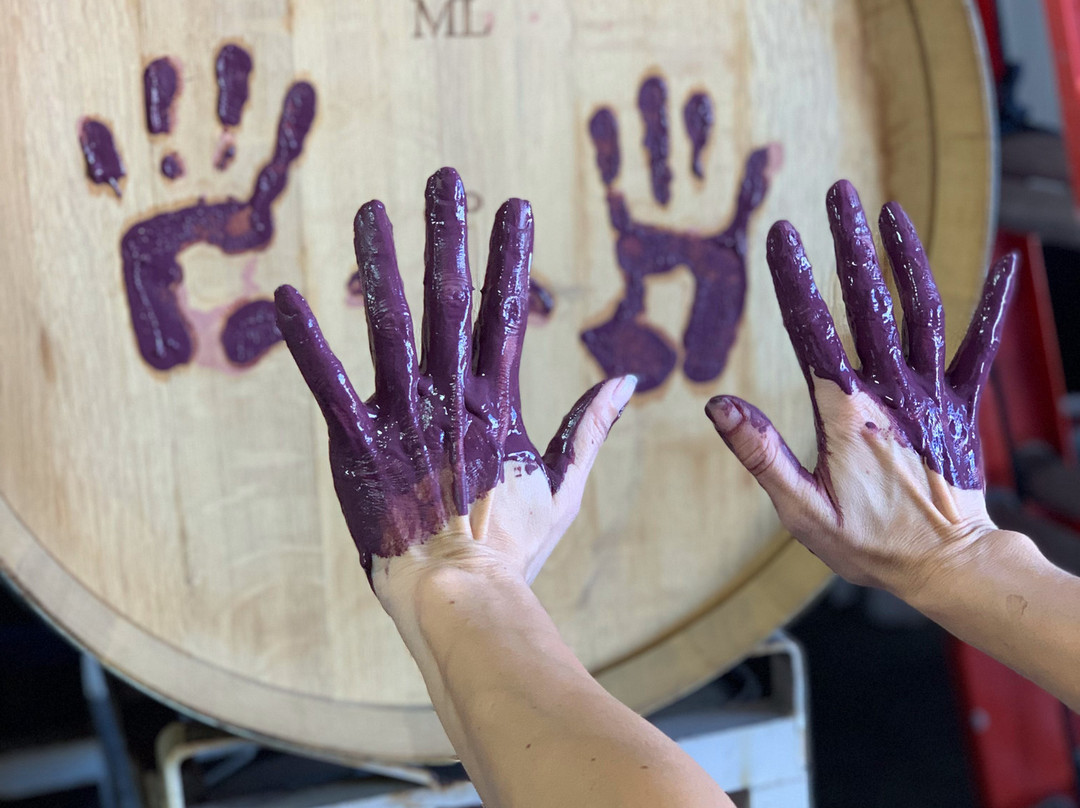 Turiya Wines-隆波克必去景点