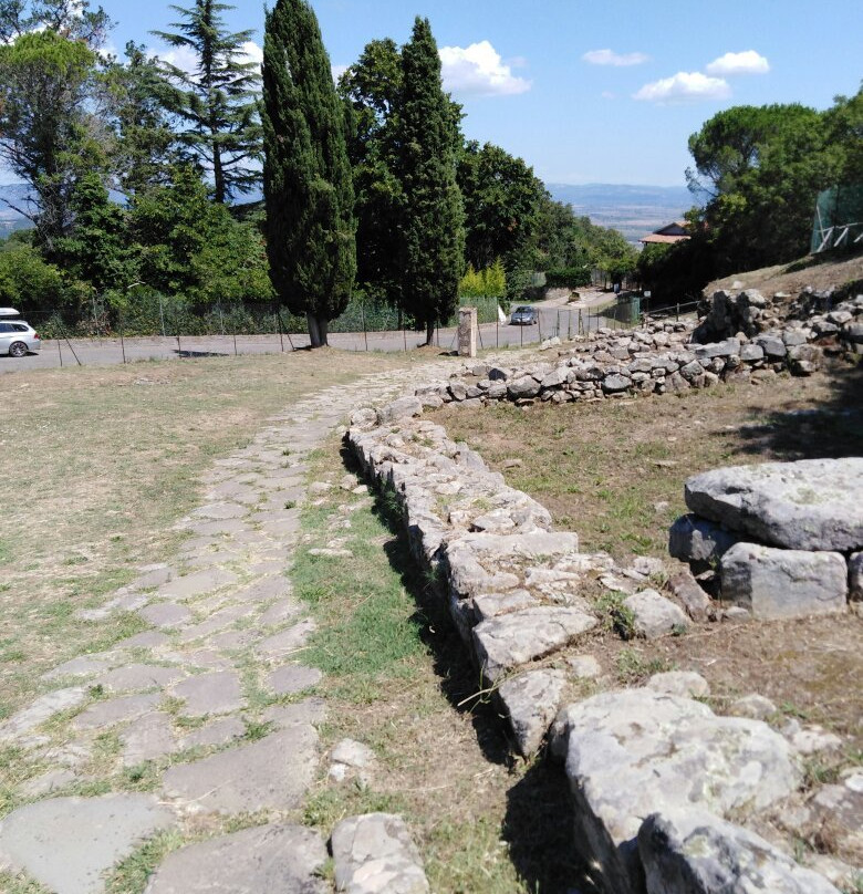 Area Archeologica di Vetulonia景点图片