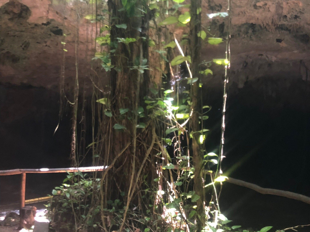 Cavernas Chaaktun景点图片