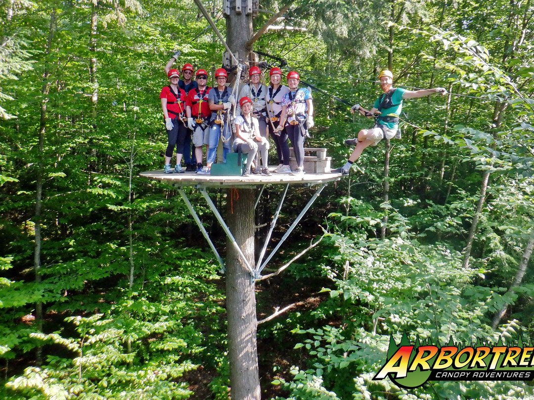 ArborTrek Canopy Adventures景点图片