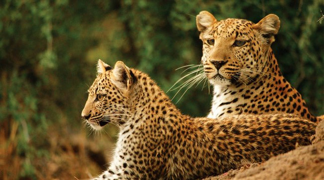 Kenya Tru Nomads-蒙巴萨必去景点