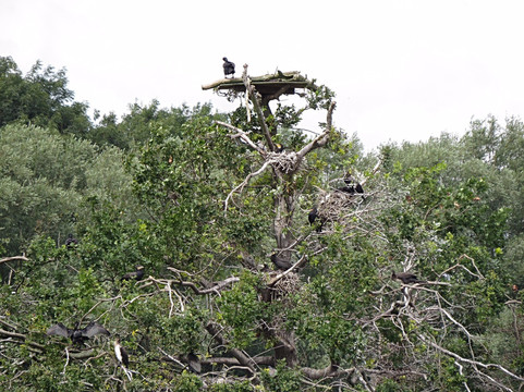 Deeping Lakes-Deeping St James必去景点