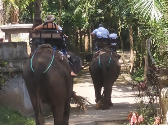 Bakas Adventure Park-Bakas必去景点