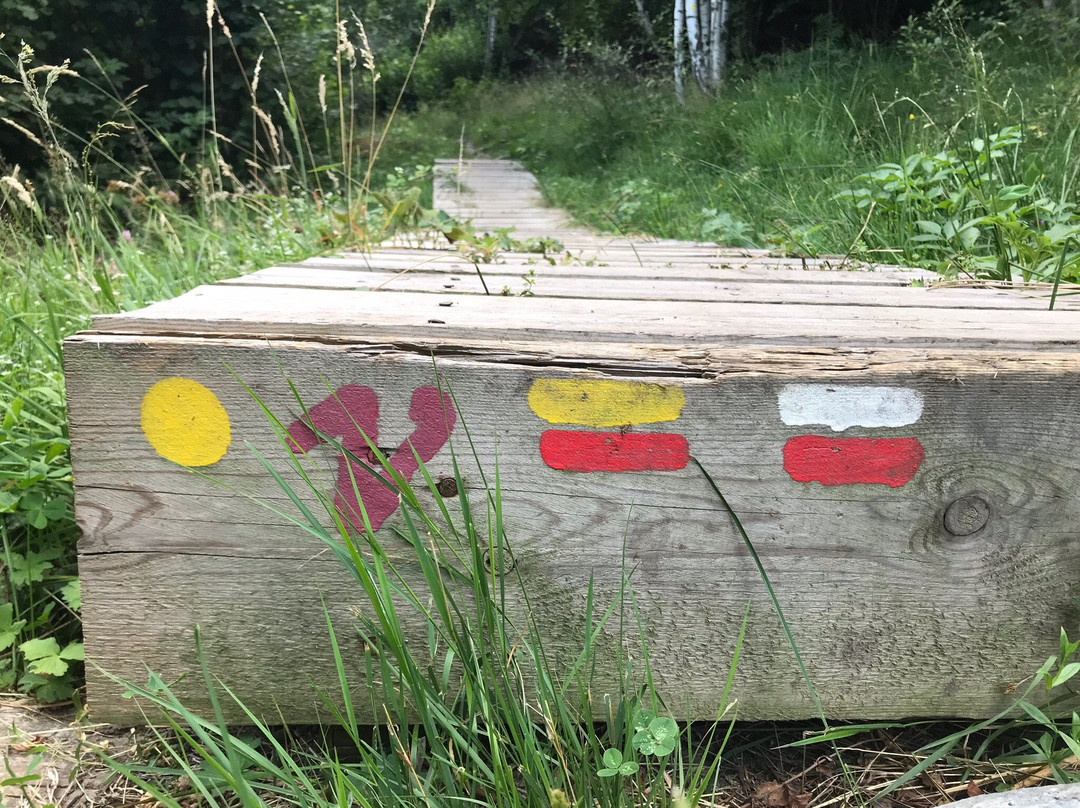 Aparthotel Rialb主图