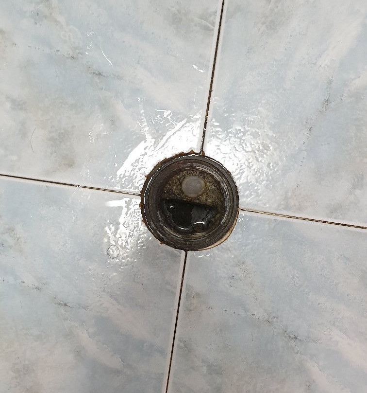 Family Hotel Varosha 2003主图