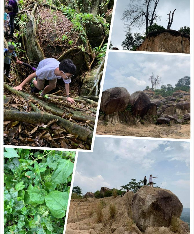 Bukit Batu Lebah Recreational Forest景点图片
