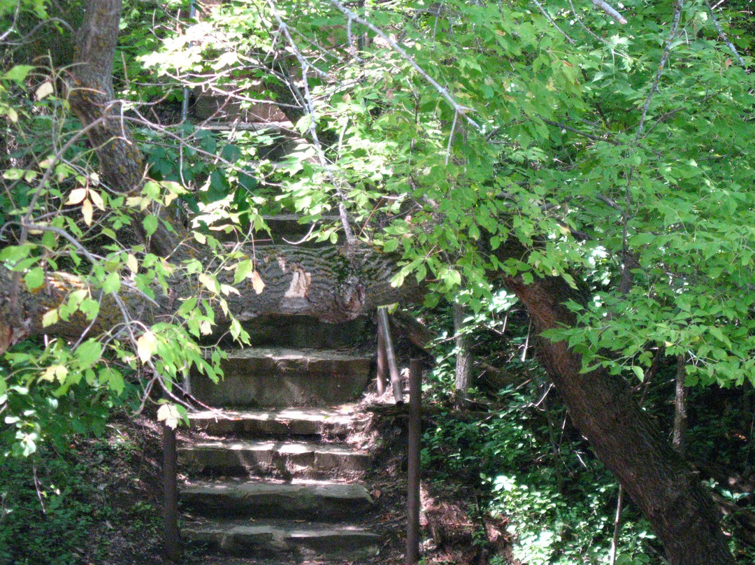 Fort Lincoln Trolley景点图片